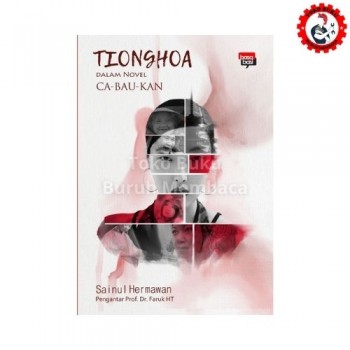 Tionghoa dalam Novel Ca-Bau-Kan